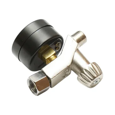 Regulator presiune aer cu manometru pentru pistol de vopsit 1/4 BSP - imagine 3
