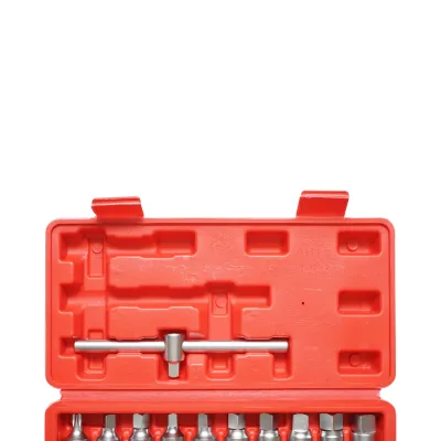 Trusa chei busoane baie ulei cu profil patrat, hex, torx 21 piese Breckner Germany - imagine 4
