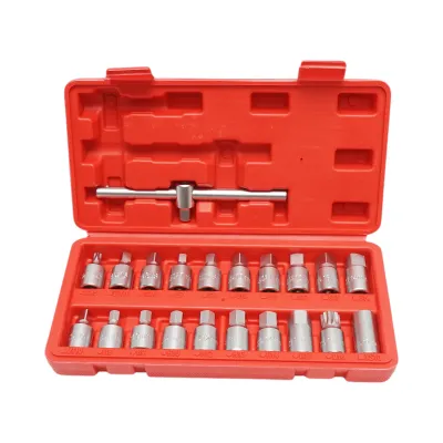 Trusa chei busoane baie ulei cu profil patrat, hex, torx 21 piese Breckner Germany