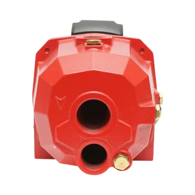 Pompa apa de suprafata autoamorsanta cu ejector 750W, 220V, debit 80 L/min, H42m DP255 Breckner Germany - imagine 7
