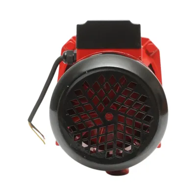 Pompa apa de suprafata autoamorsanta cu ejector 750W, 220V, debit 80 L/min, H42m DP255 Breckner Germany - imagine 6