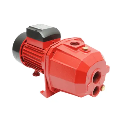 Pompa apa de suprafata autoamorsanta cu ejector 750W, 220V, debit 80 L/min, H42m DP255 Breckner Germany - imagine 3