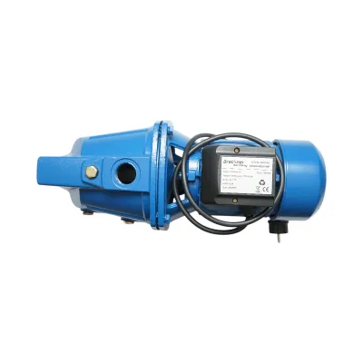 Pompa apa de suprafata autoamorsanta 750W, 220V, debit 53 L/min, H52m, bobinaj cupru JSW10M Breckner Germany - imagine 4