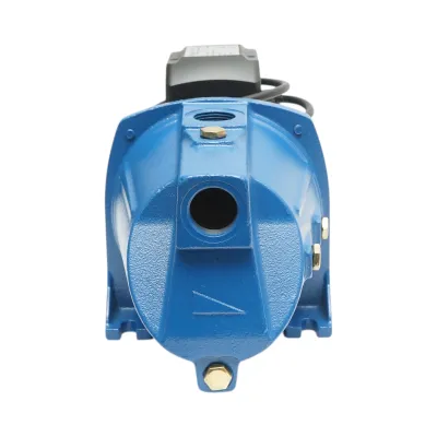 Pompa apa de suprafata autoamorsanta 750W, 220V, debit 53 L/min, H52m, bobinaj cupru JSW10M Breckner Germany - imagine 6