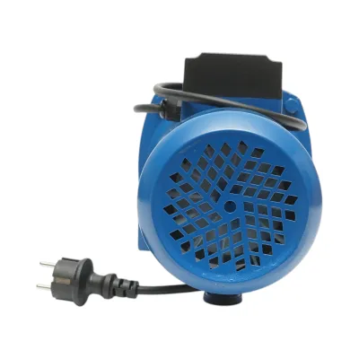 Pompa apa de suprafata autoamorsanta 750W, 220V, debit 53 L/min, H52m, bobinaj cupru JSW10M Breckner Germany - imagine 5