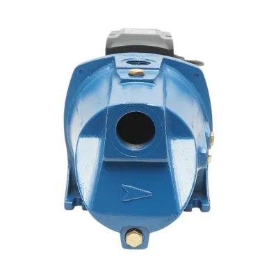 Pompa apa de suprafata autoamorsanta 1.1KW, 220V, debit 70 L/min, H46m JSW15M Breckner Germany - imagine 6