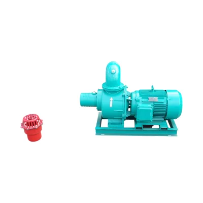Pompa apa centrifuga electrica irigatii 18.5kW, 380V, 6 toli, debit 310 m3/h, adancime aspiratie 9m, inaltime pompare 35m Breckner Germany - imagine 2