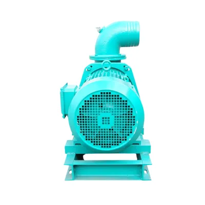 Pompa apa centrifuga electrica irigatii 18.5kW, 380V, 6 toli, debit 310 m3/h, adancime aspiratie 9m, inaltime pompare 35m Breckner Germany - imagine 4
