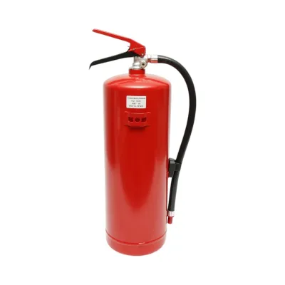 Stingator auto cu pulbere ABC 6kg P6 - imagine 3