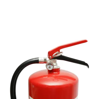 Stingator auto cu pulbere ABC 6kg P6 - imagine 5