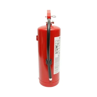 Stingator auto cu pulbere ABC 6kg P6 - imagine 4