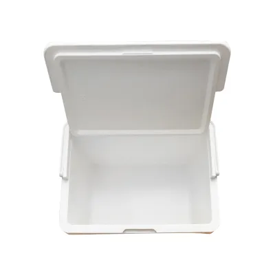 Lada frigorifica pentru picnic 20L albastra 390 x 280 x 310 mm Breckner Germany - imagine 8