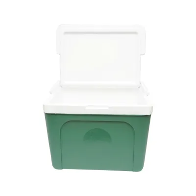 Lada frigorifica pentru picnic 20L verde 390x280x310mm Breckner Germany - imagine 6