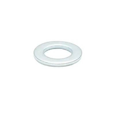 Saibe zincate DIN 125 A-4.8 M16 200 buc - imagine 4